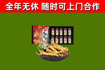 保亭县回收冬虫夏草价格